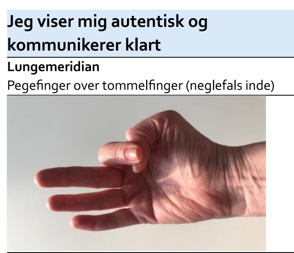 Mudras lungemeridian